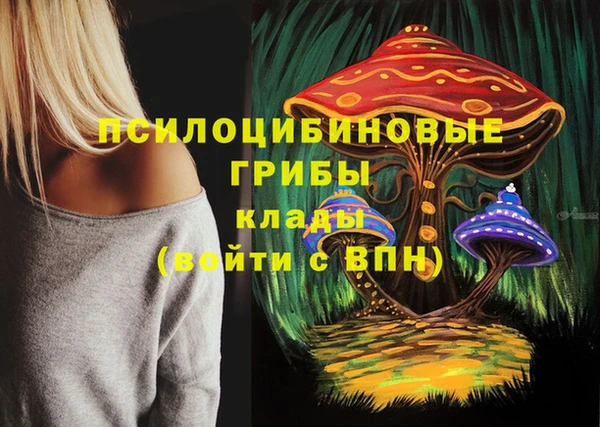 метадон Беломорск